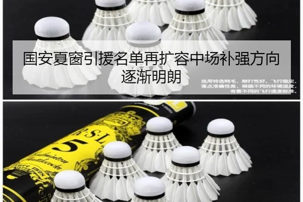 国安夏窗引援名单再扩容中场补强方向逐渐明朗